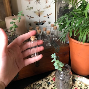 10 Glass Vials With Cork Stoppers (10ml) |Cabinet Of Curiosities| Jewelry Supply| Bottle Pendant| Jewelry Pendant| Vial Pendant