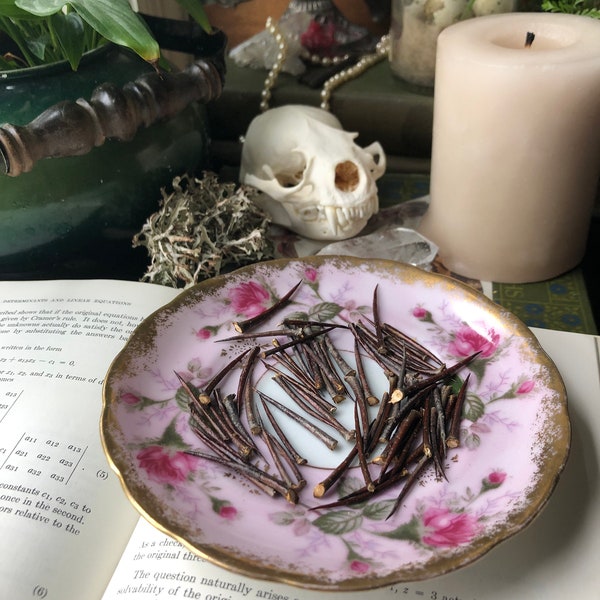 10 Hawthorn Thorns  | Beltane | Protection Spells | Altar Supply | Spell casting supply | Ritual Supply | Spellcraft