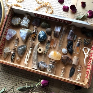 20 Item Curiosities Mystery Box | Real Animal Bones | Fossils & Minerals | Curiosity Cabinet| Nature Gift| Curiosity Gift| Birthday Gift