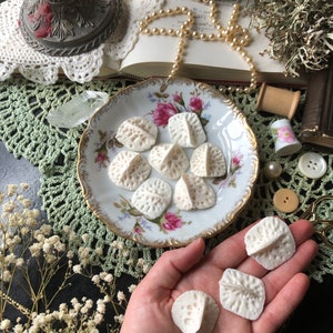 1 Small Alligator Scute | Real Animal Bones | Curiosity Cabinet | Bone Throwing | Bone Divination| Jewelry Assortment | Bone Casting Supply