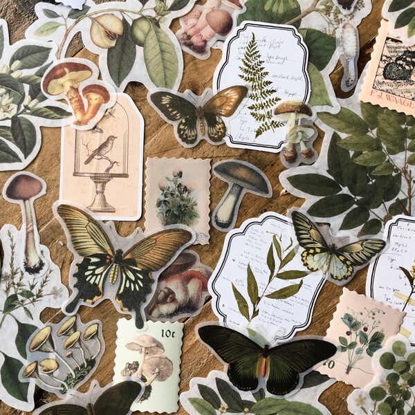 20 Pc Green & Beige Botanical Sticker Pack| Vellum Journaling Stickers| Scrapbooking| Art Journal| Bujo Stickers| Snail Mail| Bullet Journal