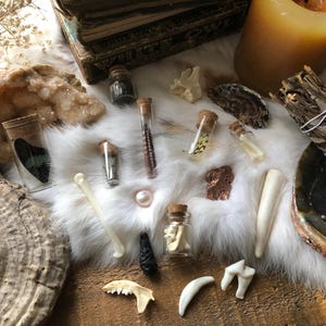 5 Item Curiosities Mystery Box | Real Animal Bones | Fossils & Minerals | Curiosity Cabinet| Nature Gift | Curio Gift | Birthday Gift