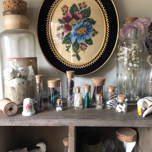 5 Item Curio Vial Collection Mystery Box | Curio Gift | Curiosities and Oddities| Curiosity Cabinet | Nature Lover Gift