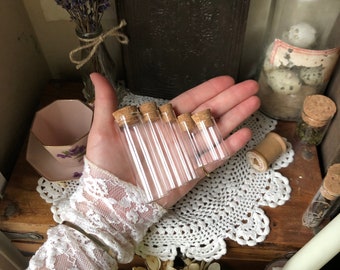 10 Tall & Wide Mouth Vials - Assorted Sizes | Empty Vial Collection | Specimen Vial | Nature Lover's Gift | For Collecting and Curio Display