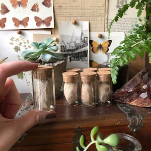 May include: Small glass vials with cork stoppers, each containing a specimen. The vials are displayed on a wooden surface, with a hand holding one. The background includes vintage ephemera, a succulent, and butterfly illustrations.