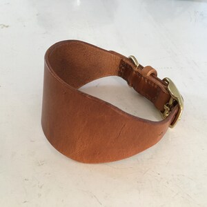 Traditional hand-stitched leather whippet collar with brass hardware Tan