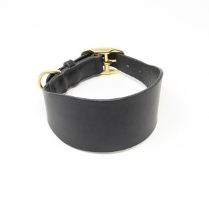 May include: A black leather dog collar with a gold buckle. The collar is wide and flat, and it has a smooth finish.