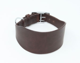 Leather greyhound / hound collar