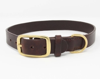 Traditional leather dog collar with brass buckle and D ring