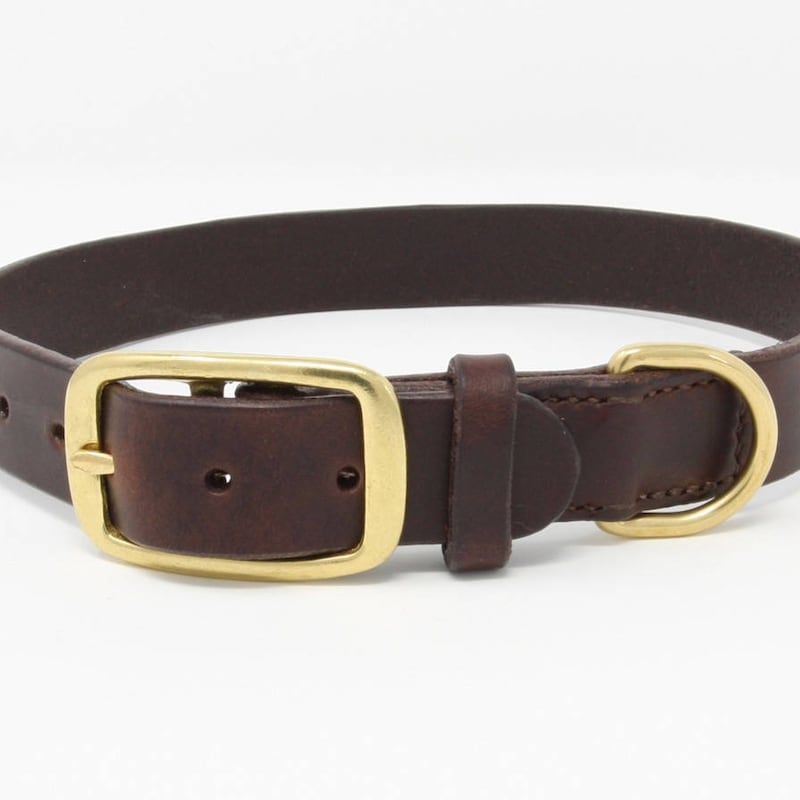 Brass Dog Collar - Etsy
