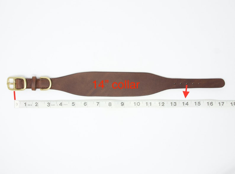 May include: A brown leather dog collar with brass hardware, measuring 14 inches in length.