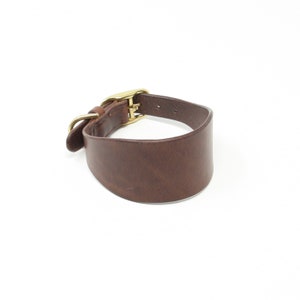 May include: A brown leather dog collar with a gold buckle.