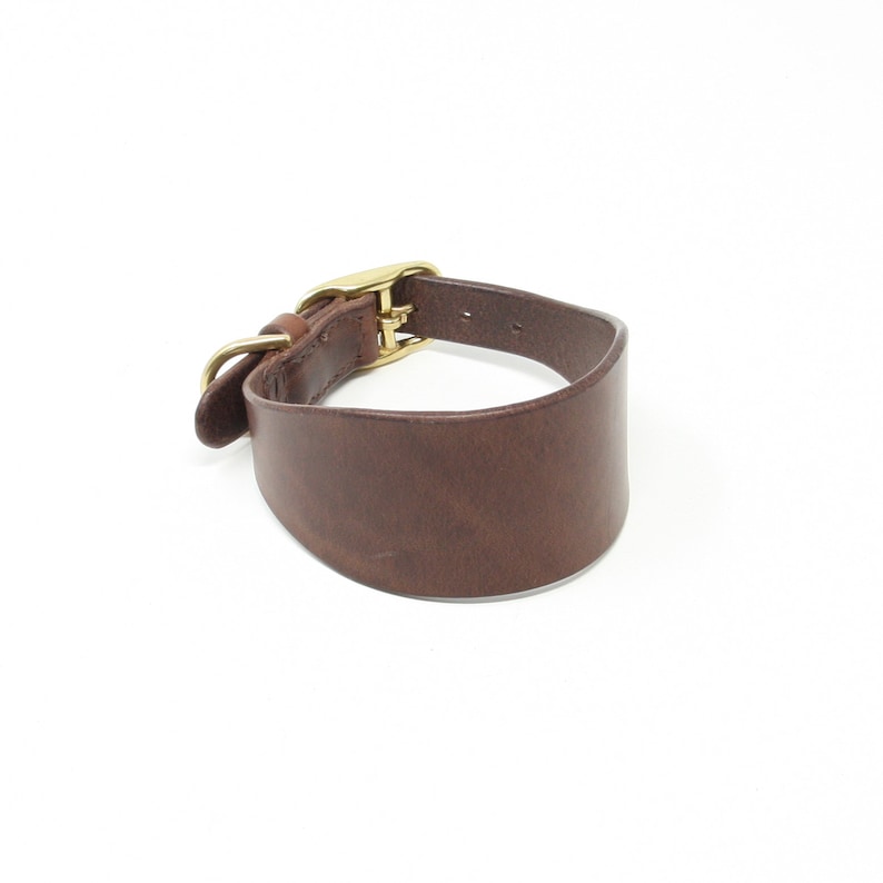 May include: A brown leather dog collar with a gold buckle.