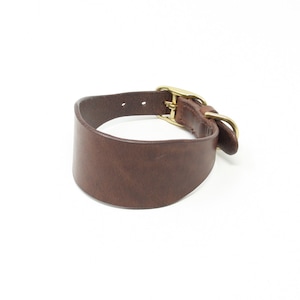May include: A brown leather dog collar with a brass buckle.