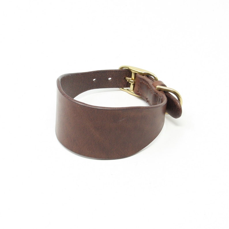 May include: A brown leather dog collar with a brass buckle.