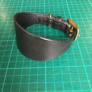 May include: A black leather dog collar with a gold buckle. The collar is flat and wide, with a rounded edge.