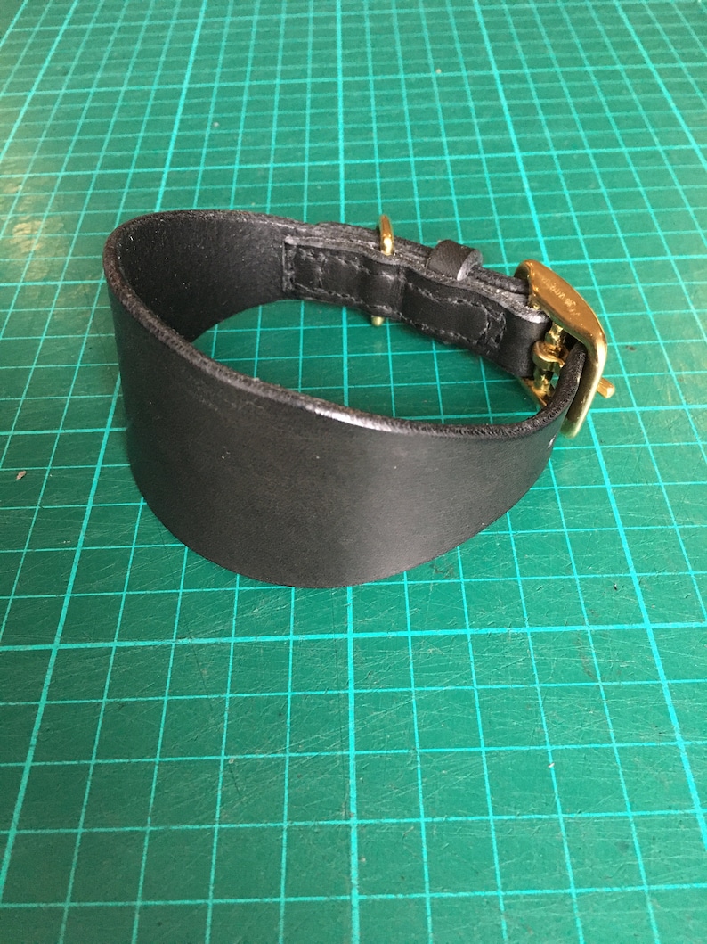 May include: A black leather dog collar with a gold buckle. The collar is flat and wide, with a rounded edge.