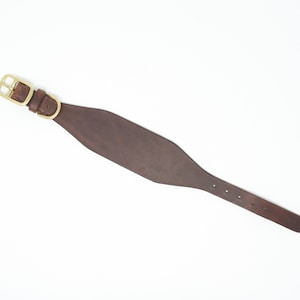 May include: A brown leather dog collar with a gold buckle.