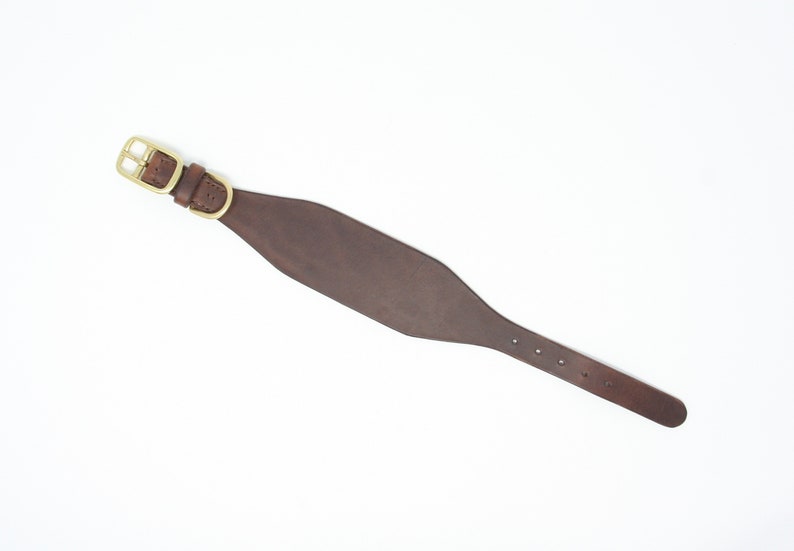 May include: A brown leather dog collar with a gold buckle.