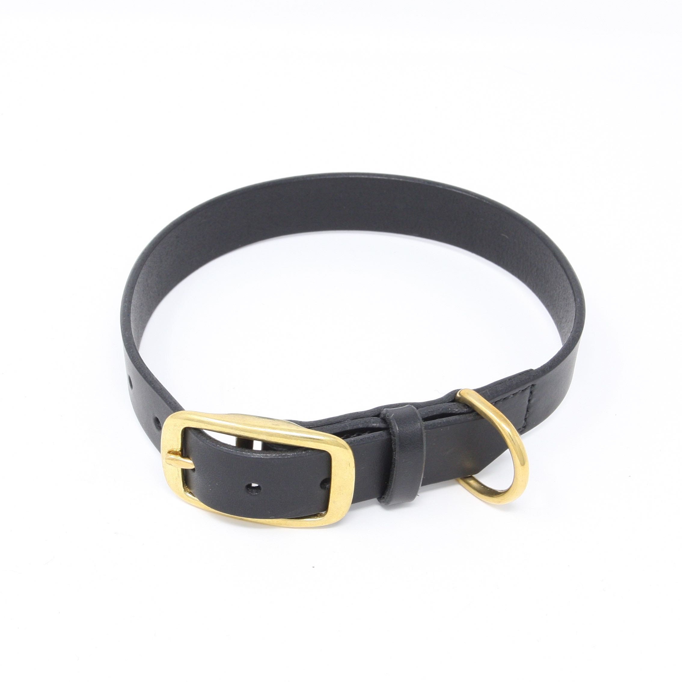 brass dog collar