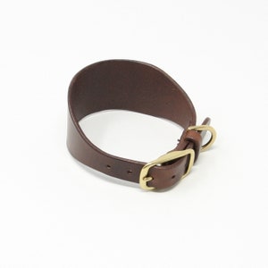 May include: A brown leather dog collar with a gold buckle and a D-ring.
