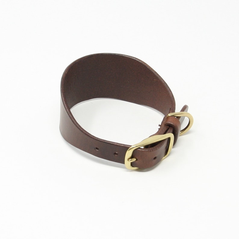 May include: A brown leather dog collar with a gold buckle and a D-ring.
