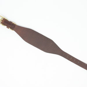 May include: A brown leather dog collar with a brass buckle.