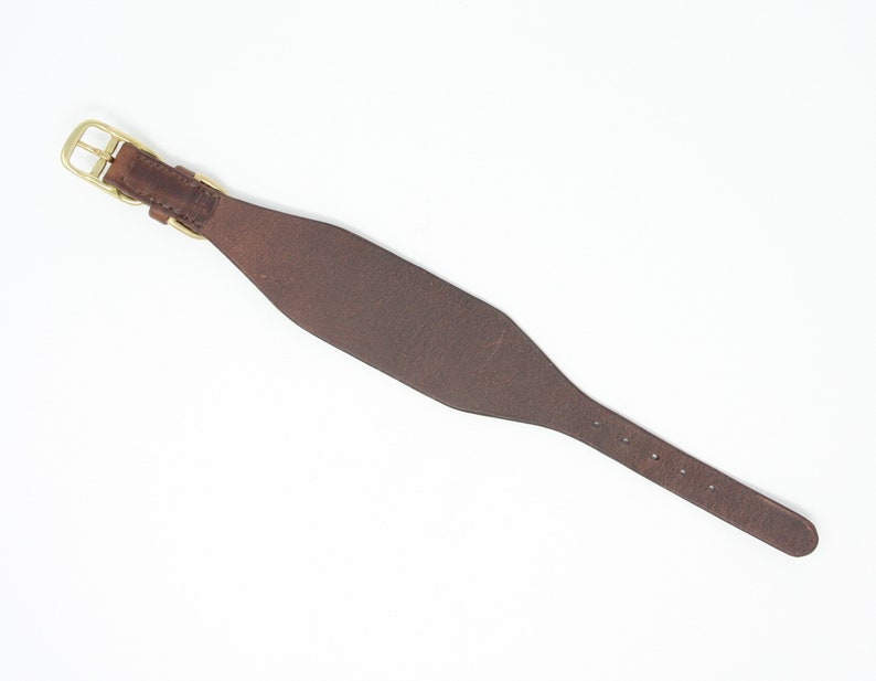 May include: A brown leather dog collar with a brass buckle.
