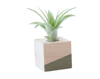 Aimant plante aérienne >> Cube vert