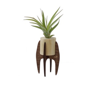 Mid Century Air Plant Tillandsia Display, Modern Wood Air Plant Stand, Small Plant Holder, Wooden Indoor Succulent Stand **Plant Included**