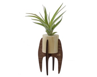 Mid Century Air Plant Tillandsia Display, Modern Wood Air Plant Stand, Small Plant Holder, Wooden Indoor Succulent Stand **Plant Included**