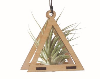 air plant ornament >> triangle >> maple
