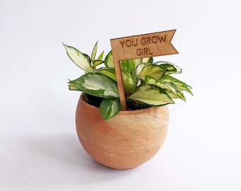 Plant Pick, You Grow Girl, Houseplant Tag, Plant Marker, Plant Stake, Garden Decor, Plant Accessories, Plant Decor, Plant Lover Gift