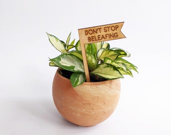 Plant Pick, Don't Stop Beleafing, Houseplant Tag, Plant Marker, Plant Stake, Garden Decor, Plant Accessories, Plant Decor, Plant Lover Gift