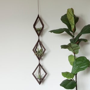 air plant hanger trio diamond walnut image 2