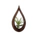 see more listings in the air plant holders section