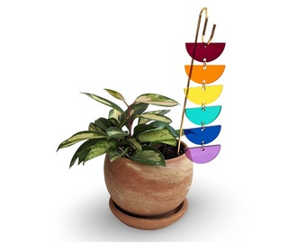 May include: A potted plant with green and cream-colored leaves and a decorative plant stake. The stake is gold-colored and features a series of colorful, semi-circular shapes in shades of red, orange, yellow, green, blue, and purple. The pot is terracotta.