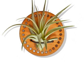 Air Plant Magnet - Cherry Circle