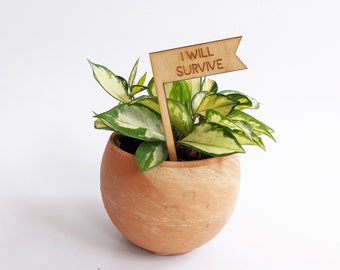 Plant Pick, I Will Survive, Houseplant Tag, Plant Marker, Plant Stake, Garden Decor, Plant Accessories, Plant Decor, Plant Lover Gift