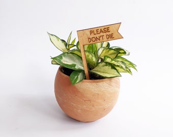 Plant Pick, Please Don't Die, Houseplant Tag, Plant Marker, Plant Stake, Garden Decor, Plant Accessories, Plant Decor, Plant Lover Gift