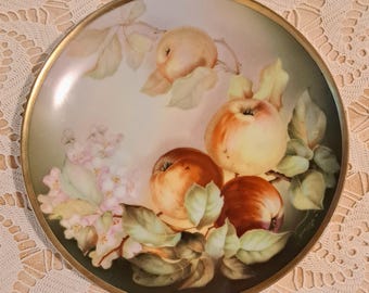 Hand-Painted Thomas Sevres Bavaria Plate