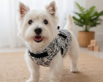 vestitino per cani di piccola taglia