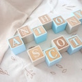 Baby Nursery Bookshelf Decor | Personalized Wooden Baby Name Blocks | Baby Photo Prop | Baby Shower Gift | Wooden Letter Blocks product logo