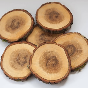 May include: Six natural wood slices, each with a unique grain pattern, are arranged in a pile. The wood is light brown and has a smooth, polished finish.