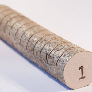 Log plaats kaarthouder, Rustieke bruiloft decor, Guest Card Houder, bos bruiloft middelpunt, plaats kaart staan, naam tag houder