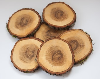 Lot de 10 sous-verres en bois 10-12 cm