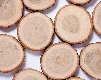 SALE! 30 oak wood slices 2- 3" , rustic wedding decors, wood slice with bark, tag slices, woodland wedding decors, wood discs for craft