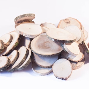SALE 20 small wood slices, rustic wood slices for DIY,  weddings, favors, crafts & more - set of 20 blank wood slices for christmas tags