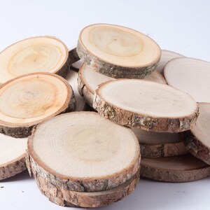 SALE 10 assorted wood slices, rustic wood slices for DIY, weddings, favors, crafts & more set of 10 blank wood slices for christmas tags image 3