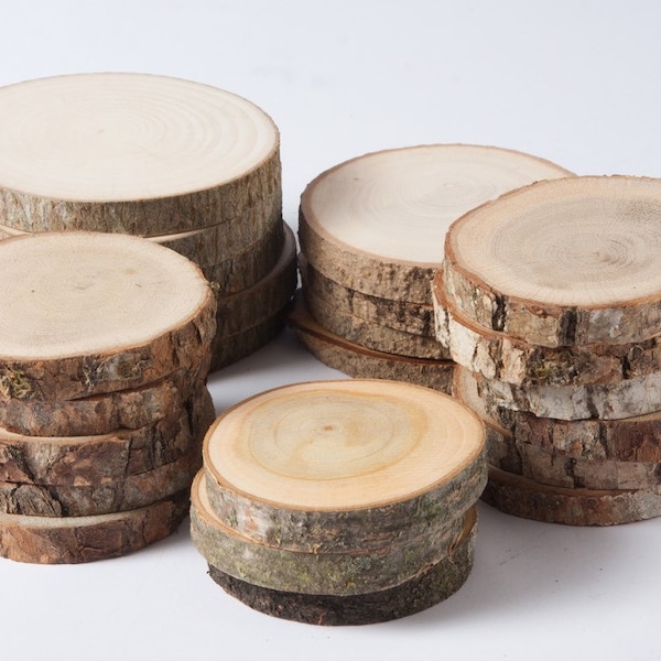 SALDI 10 fette di legno assortite, fette di legno rustiche per fai da te, matrimoni, bomboniere, artigianato e altro - set di 10 fette di legno vuote per etichette natalizie